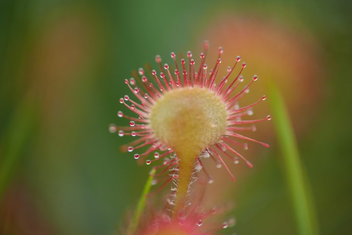 P1170221