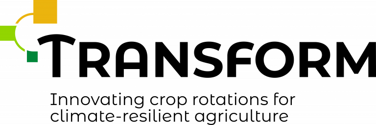 logo transform