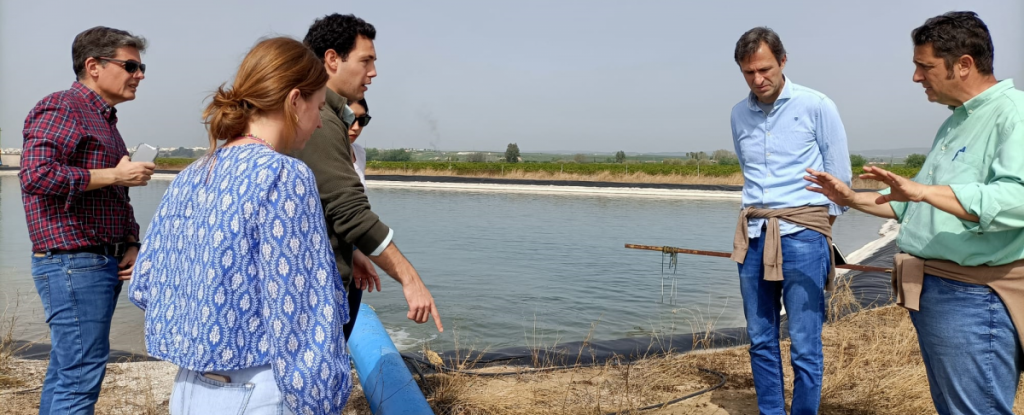 partenaires hy4res cordoue partenaires hy4res cordoue