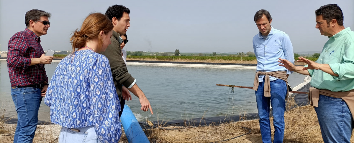 partenaires hy4res cordoue