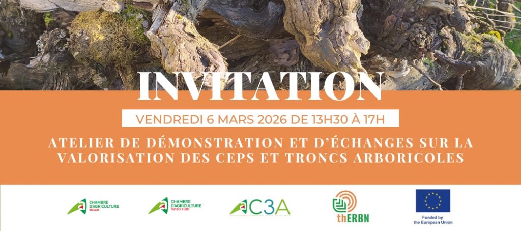 atelier démonstration thERBN valorisation ceps troncs arboricoles atelier démonstration thERBN valorisation ceps troncs arboricoles