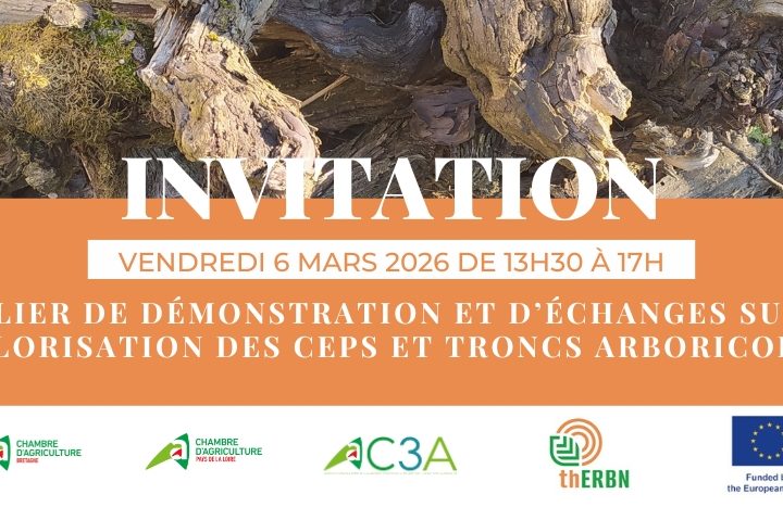 atelier démonstration thERBN valorisation ceps troncs arboricoles
